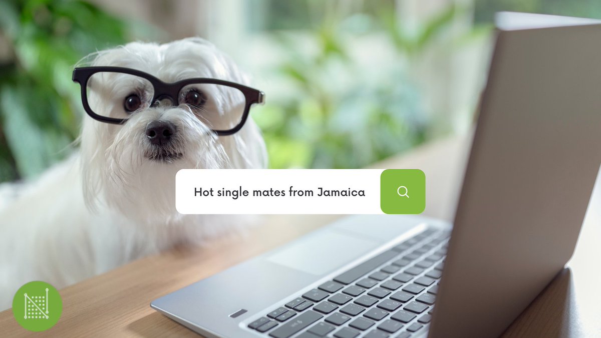 Weareniritech's tweet image. Niritech helps businesses with Search Engine Optimization (SEO). Get your website built and optimized today. Ask about our website packages.

#Weareniritech #SEO #WebsitePackages #websitepackagesinja #softwaredevelopment