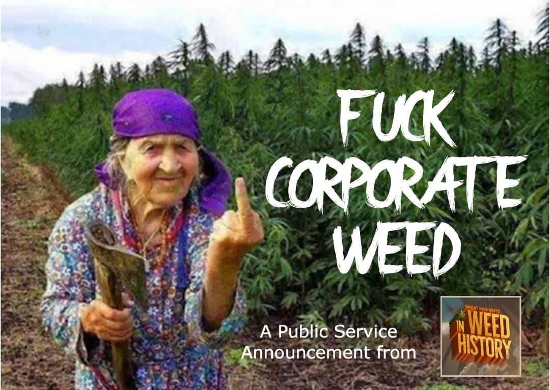 gmiwhpodcast's tweet photo. Weedheads > Greedheads https://t.co/fsHbm28S36