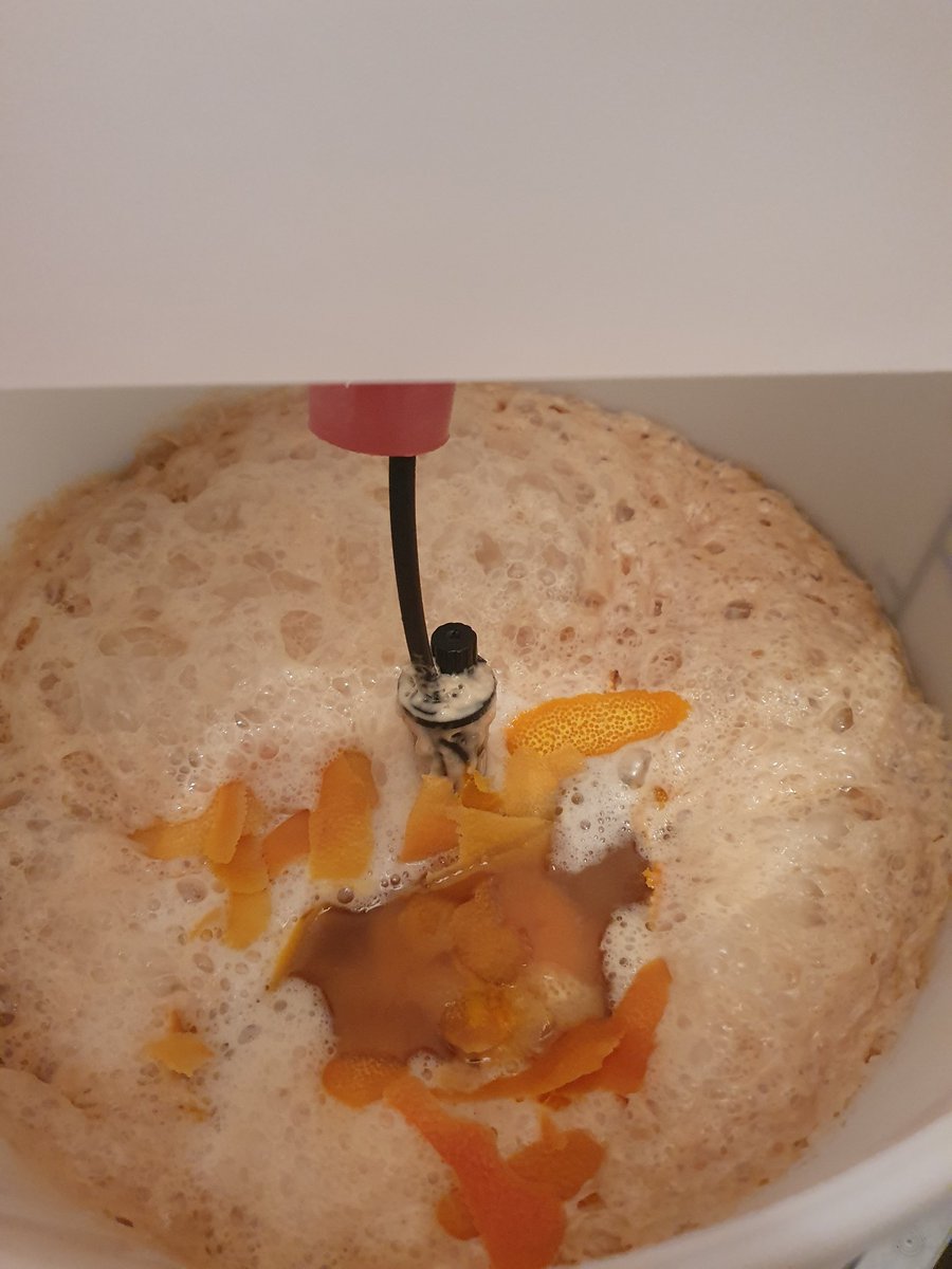 Look at that Krausen! 

Dry hop (Citra, Simcoe and Amarillo) added today (day 4) along with 80g Grapefruit zest &amp; 60g Orange Zest! 

This beer is a remake of one we made last summer &amp; promises to be even more hoppy and even more zesty! 

#homebrew #craftbeer #BrewingExcellence