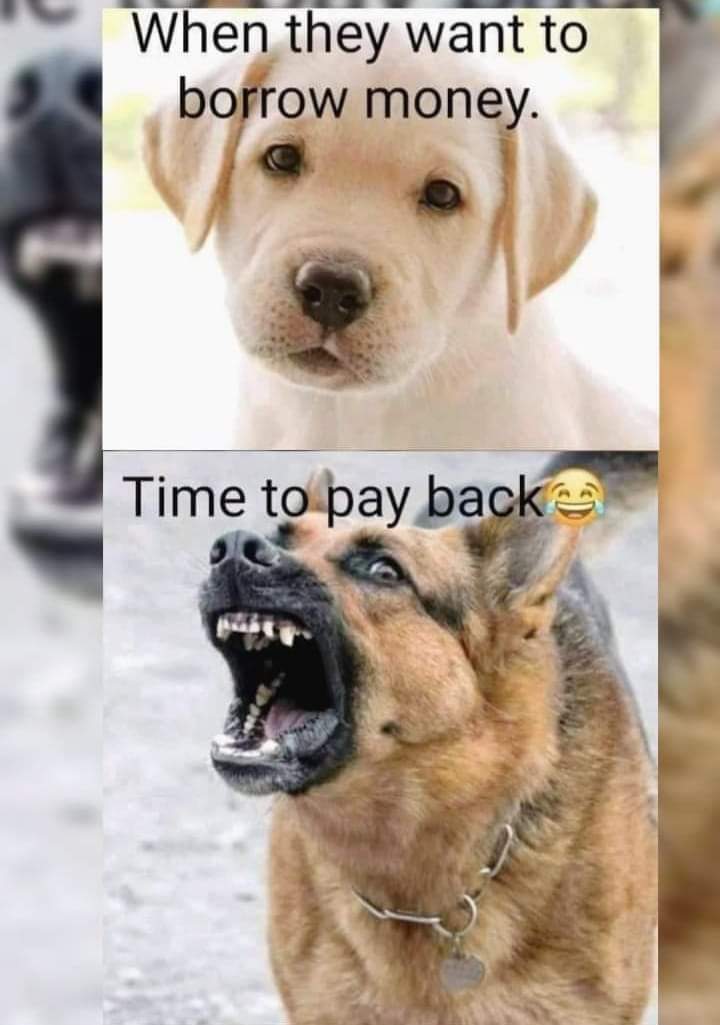 ModukaPree's tweet image. Ba bora hampe