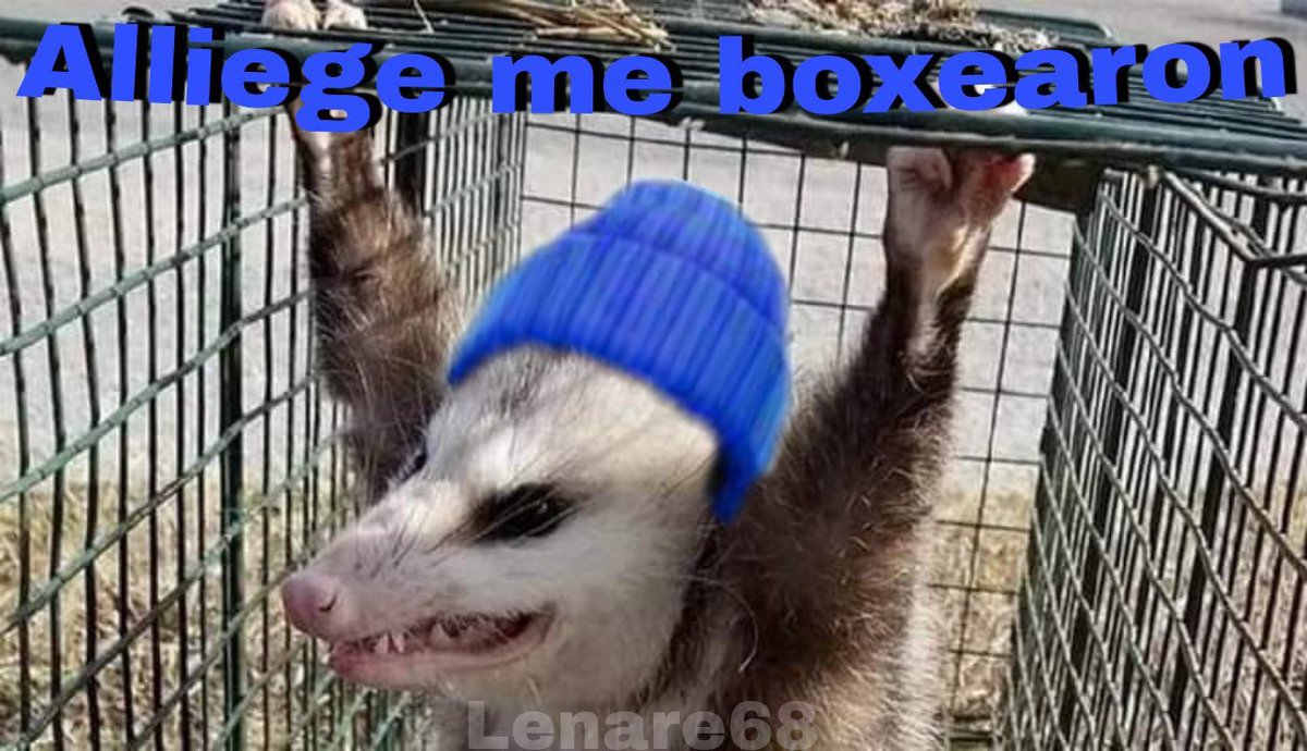 Zifs9's tweet photo. @Gg3Kmanu @FortniteGLAT Ya las aprendí a usar xdxd https://t.co/d25SbHd91z