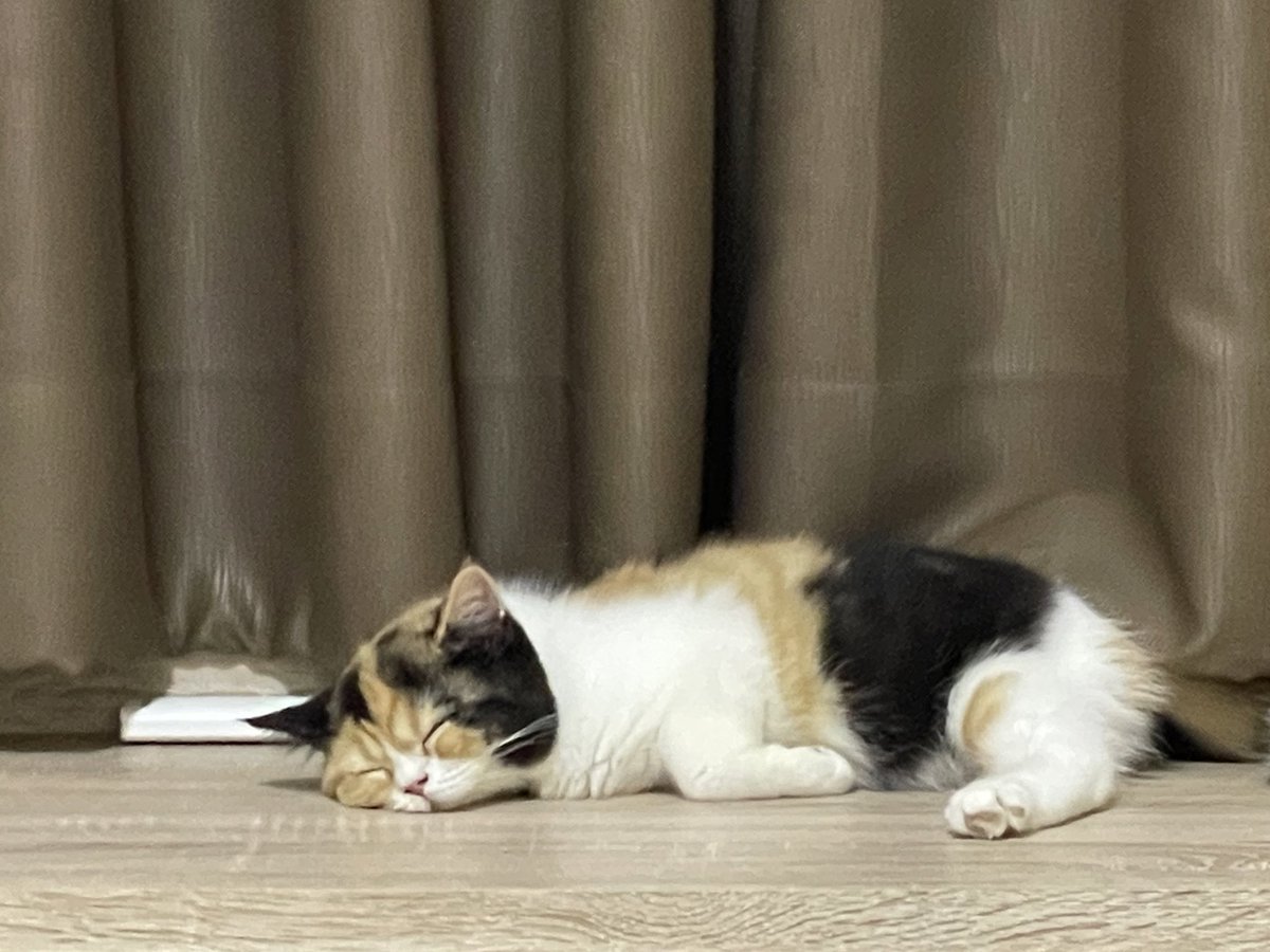 กุ้ดน้ายยยย