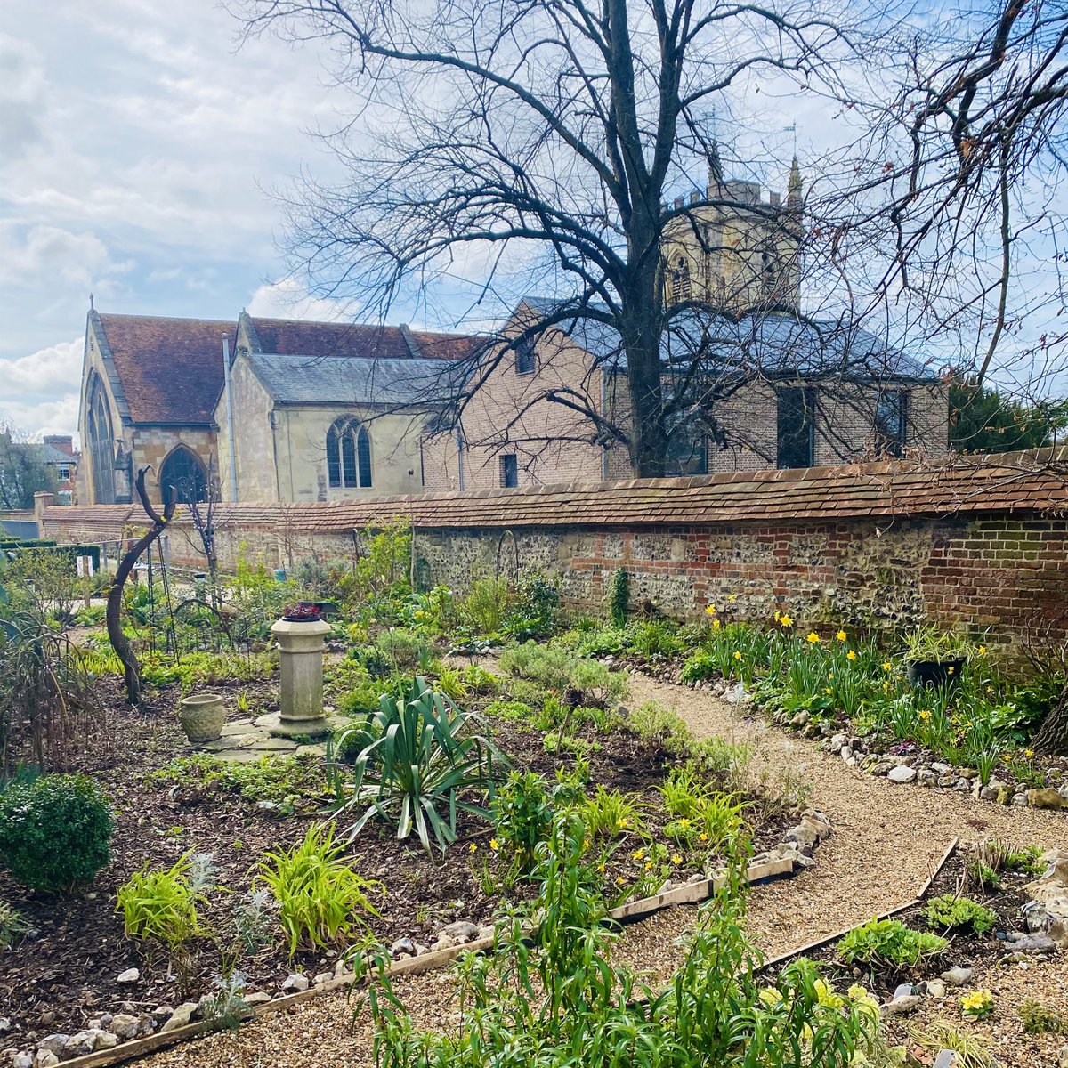 Claire Louise tweet media