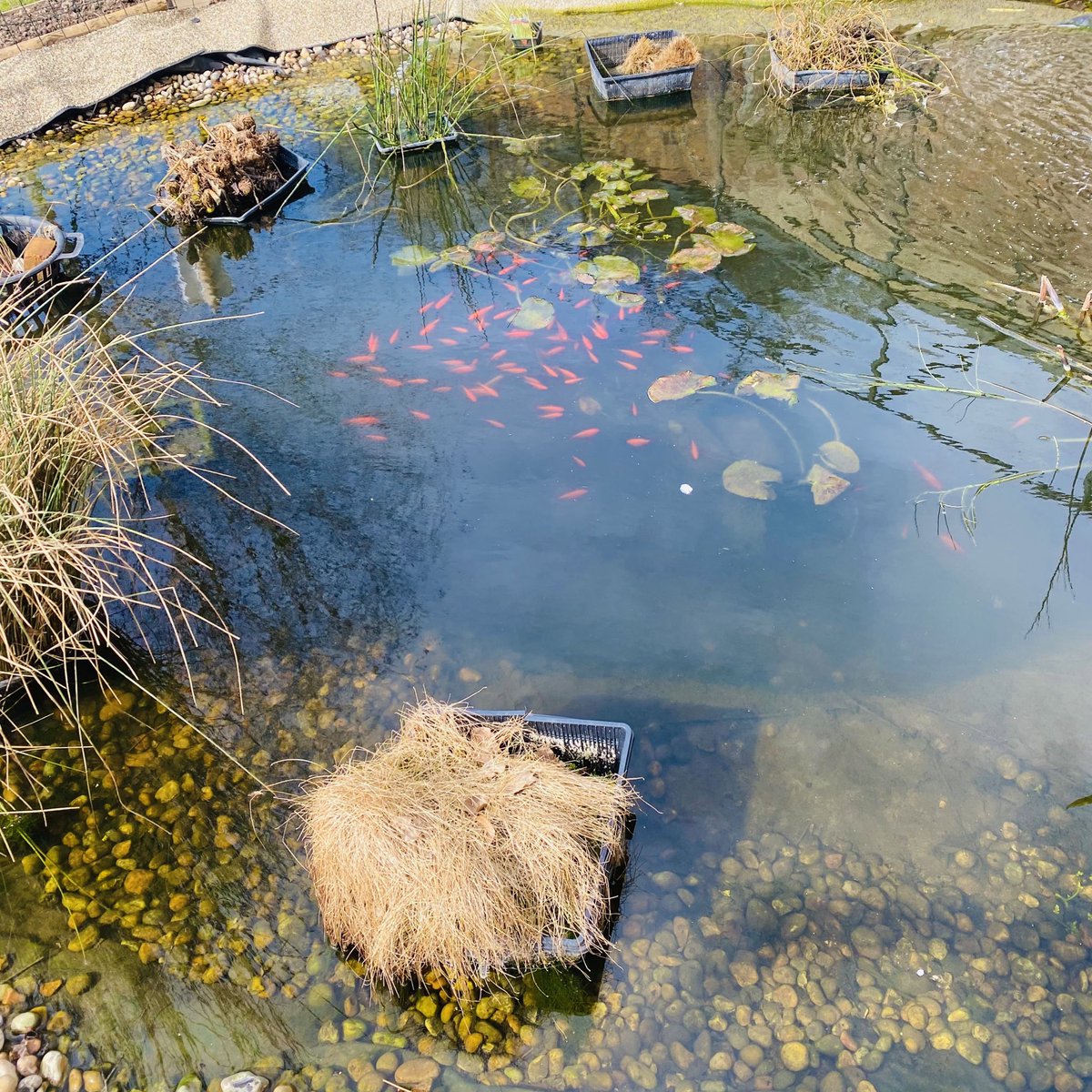 Claire Louise tweet media