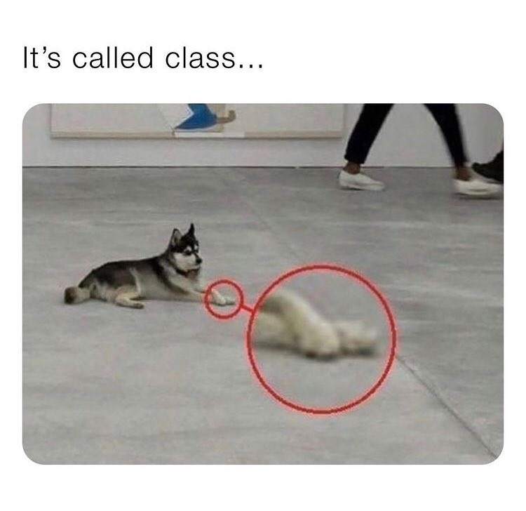CarolKarolyFan's tweet photo. @VanessaMerrell I’ve got so many memes. What have I done with my life lol 😆 😂 https://t.co/o34tPYgTx0