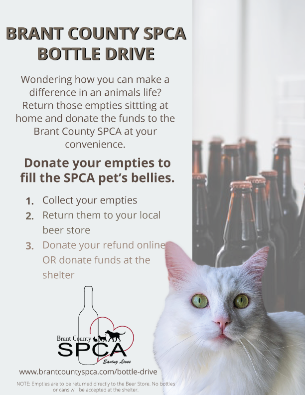 Brant County SPCA tweet media