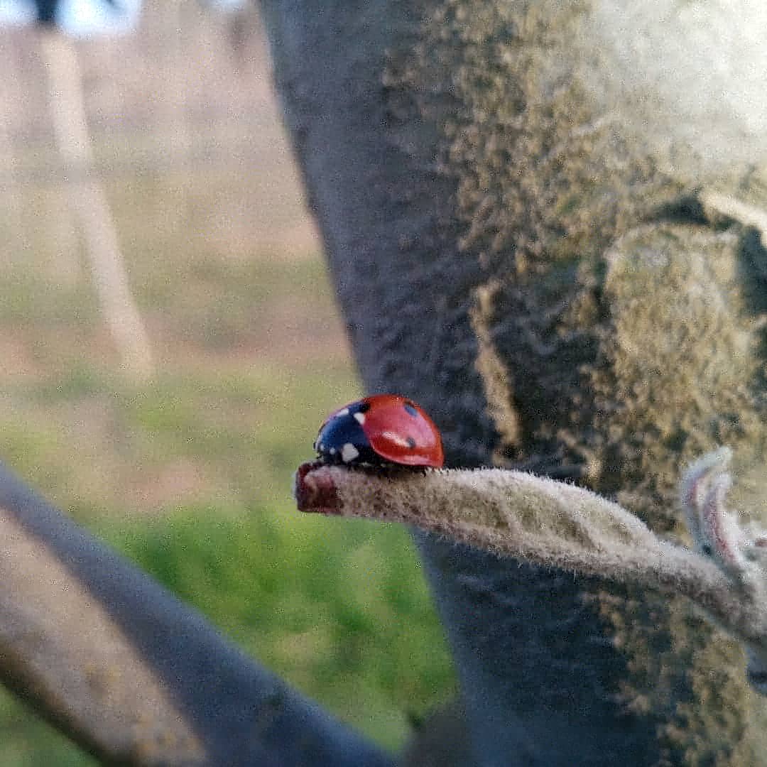 Arnau Vilaseca tweet media