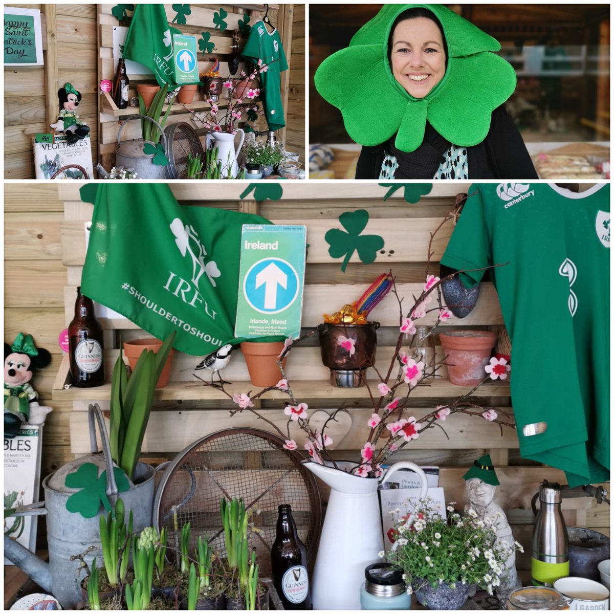 Susan Hallam tweet media