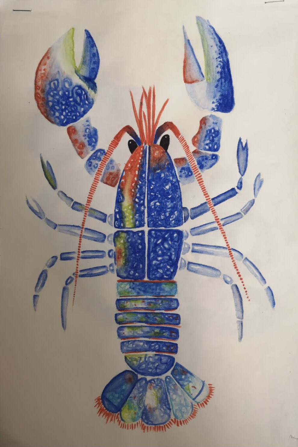 OrchardMead Art on X: Fantastic Year 10 GCSE Sea life artwork