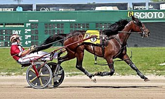HarnessRacingDC's tweet photo. Hank LeVan looks to build upon successful 2020 season. Read now. https://t.co/8afl2SkN01
@HarnessRacingFZ @HarnessKenW @USTrotting @HankLeVan 

Conrad Photo https://t.co/7oSgoHCfx2
