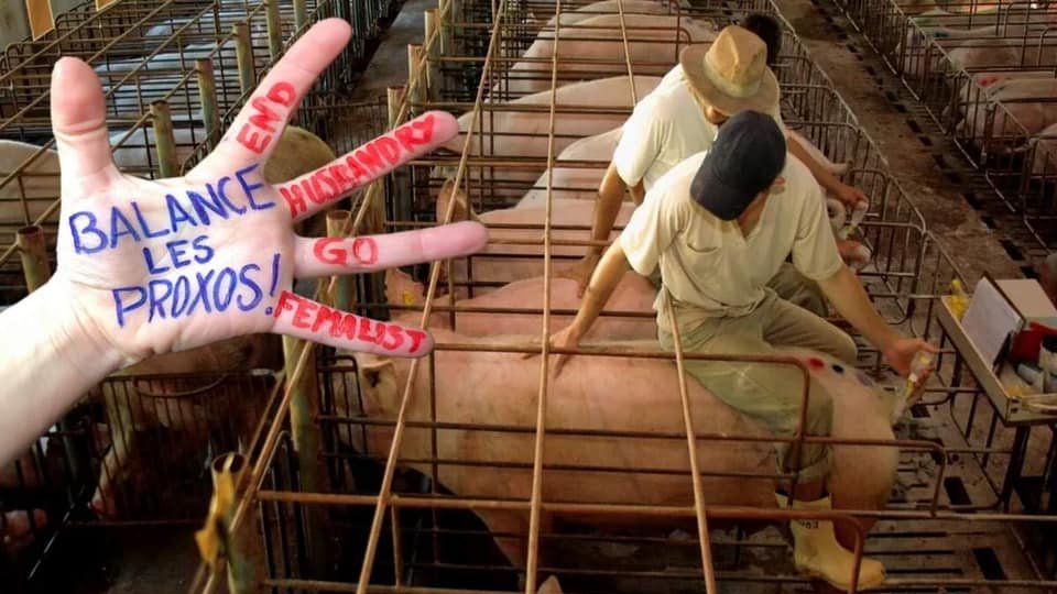 ENDHUSBANDRYNOW's tweet photo. #HandsToEndHusbandry #Endhusbandry #BalanceLesProxos #GoFemalist #June9th2021
Oppose YOUR hand for billions of paws NOW! Go, Go, Go!
You will find full user manual in your language : https://t.co/pyzBXn1rzB
Add your contribution to the map : https://t.co/pbU3aufdyM https://t.co/tJQ31lGCBw