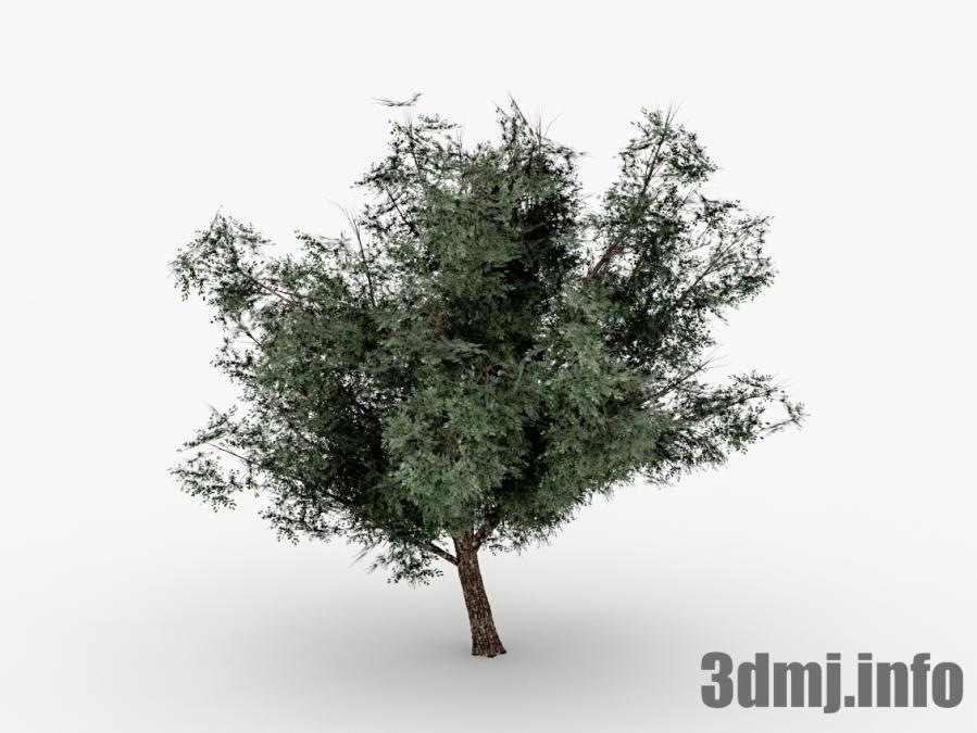 3dmodeljapan On Twitter 無料3dデータ 3d樹木がなんと無料 3dなので添景素材では難しい奥行き感のある表現が簡単に出せます この機会に是非ダウンロードしてみてはいかがでしょうか 3dcg 3dmodeljapan 樹木 無料 Https T Co Isyit5ygbm Https T Co