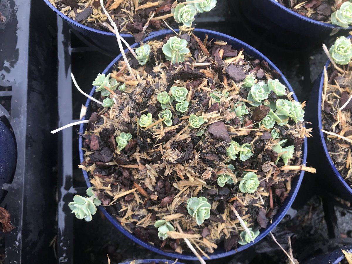 Gert van Beek (@gertvanbeek) on Twitter photo 