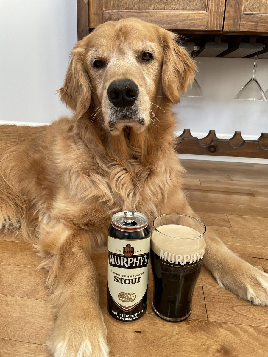 🇨🇦Lynn & Murphy of the North🇨🇦 tweet media