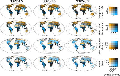 UNBiodiversity's tweet photo. 📚 #NowReading: "Exposure of mammal genetic diversity to mid‐21st century global change"
A new @Macroecology report assesses the impact of global climate & land use change on #GeneticDiversity, & shows its relevance for the #post2020 framework.
📗Report:
https://t.co/9PYNZ2QNE6 https://t.co/ItqzkGJExr