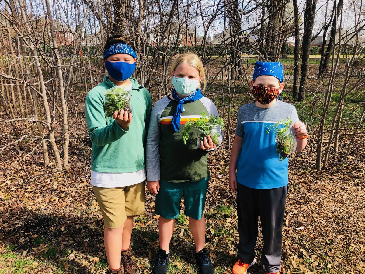 Mrs_KdWilliams's tweet photo. So much to find on today’s nature walk! @DaffronDeputies #CampOnCampus https://t.co/XCX4Ak9Awt