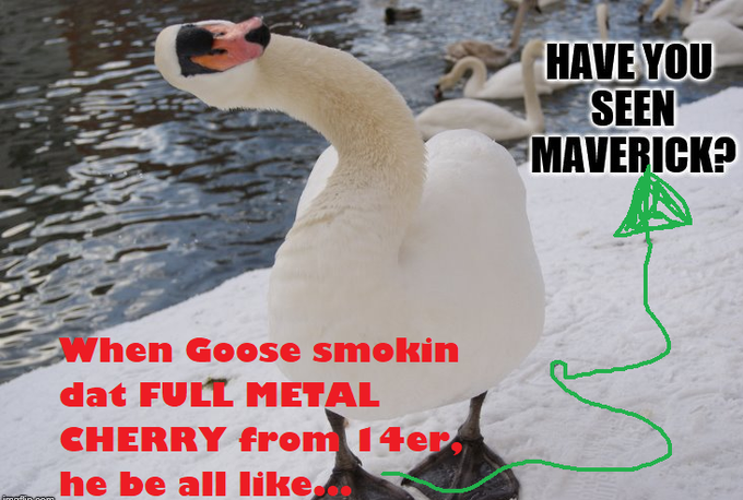 @14erHolistics I made this meme for my friend cuz she's all like, "This full metal Cherry is 🔥" and like<a class="tags" target="_blank" title="On Twitter" href="/?out=eyJ0eXAiOiJKV1QiLCJhbGciOiJIUzUxMiJ9.eyJpYXQiOjE3MjY0NTY3MDIsImlzcyI6InR3cG9ybnN0YXJzLmNvbSIsIm5iZiI6MTcyNjQ1NjcwMiwiZXhwIjoxNzU3OTkyNzAyLCJyZWRpcmVjdF91cmwiOiJodHRwczovL3R3aXR0ZXIuY29tLzE0ZXJIb2xpc3RpY3MifQ.pIhz0ZGBMCVGm_boqA9HmgSDGQSKFi5KbUmzKLeF0PKeq8Q3ocJnZxyiXIYXIif-ZZXiZhvLTkedF2sH3a2Xvg">@14erHolistics</a><a href="/tag/topgun"class="tags"><span>#topgun</span></a><a href="/tag/maverick"class="tags"><span>#maverick</span></a><a href="/tag/sativa"class="tags"><span>#sativa</span></a><a href="/tag/goose"class="tags"><span>#goose</span></a><a href="/tag/weedlife"class="tags"><span>#weedlife</span></a><a href="/tag/14er"class="tags"><span>#14er</span></a>
