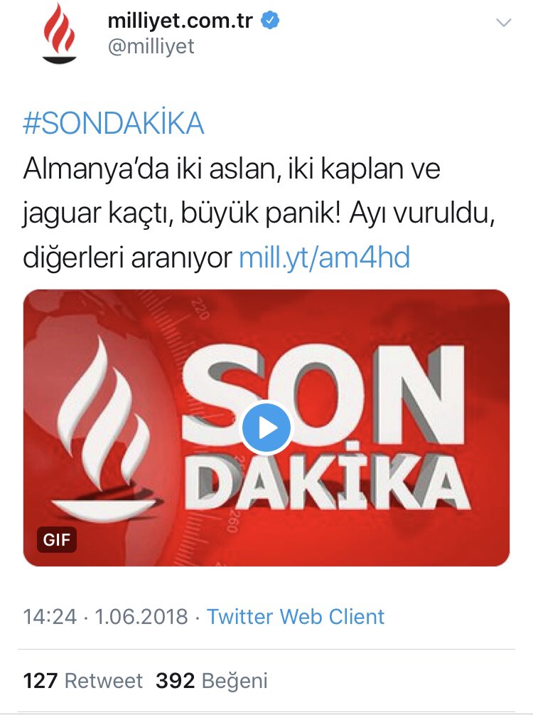 Ayıyı niye vurdunuz orospucocukları o kaçmamış ki