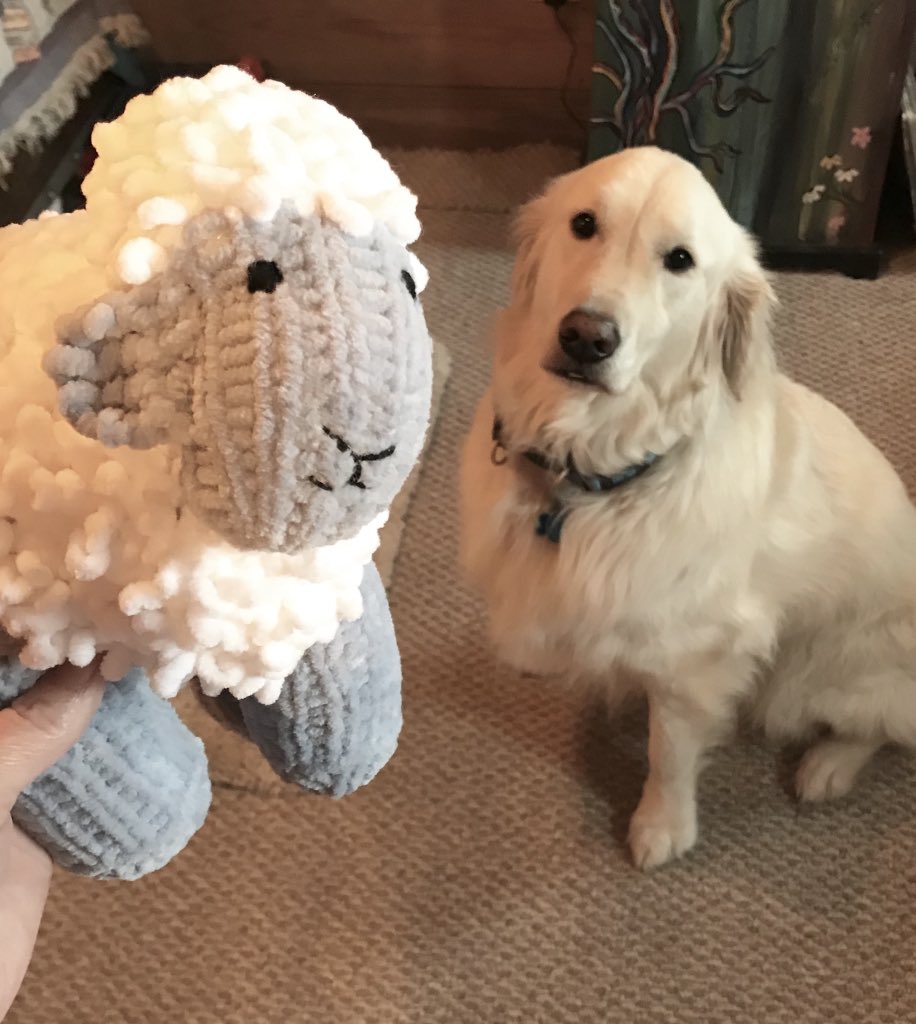 sampson_dog's tweet image. Mom said that Mr. B’s spa wrote and said it will take a few extra days to get home. She said I could play with the special handmade Lambie. Lambie is a nice fren but Lambie is not Mr. B. 

#dogs #ScienceDog #sigh