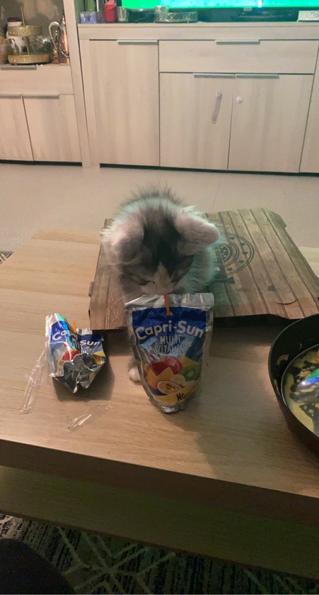 il est pas normal vrm