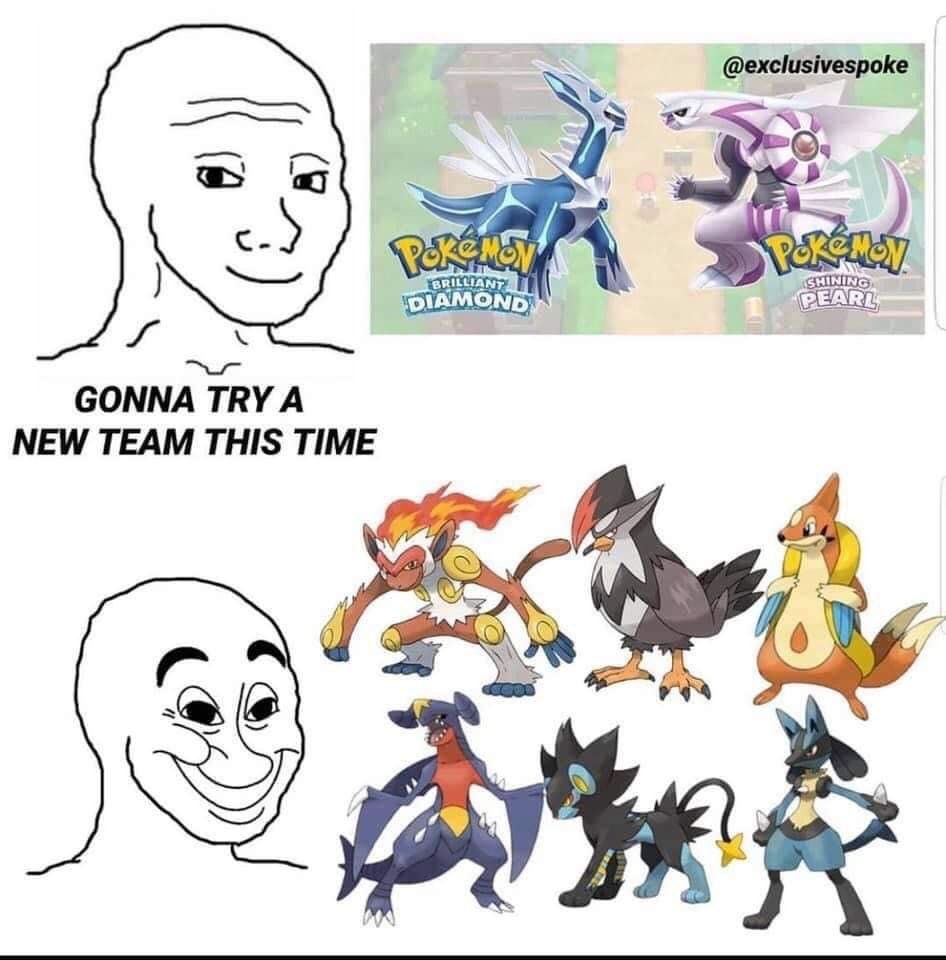Pm me your  pokemon  team