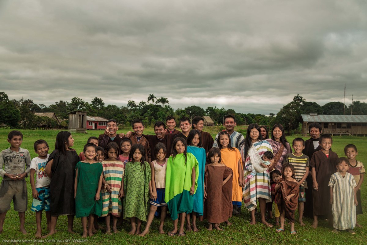 UNDPplanet's tweet photo. Expanding our #forests is one of the most efficient ways to tackle #ClimateChange &amp; #biodiversity loss. 🌲🌳🌲

Ahead of #IntlForestDay, @PNUDLAC highlights stories of action from countries across Latin America &amp; the Caribbean. 👇
https://t.co/MRHy0KcvBZ https://t.co/1XMOQGeFpG