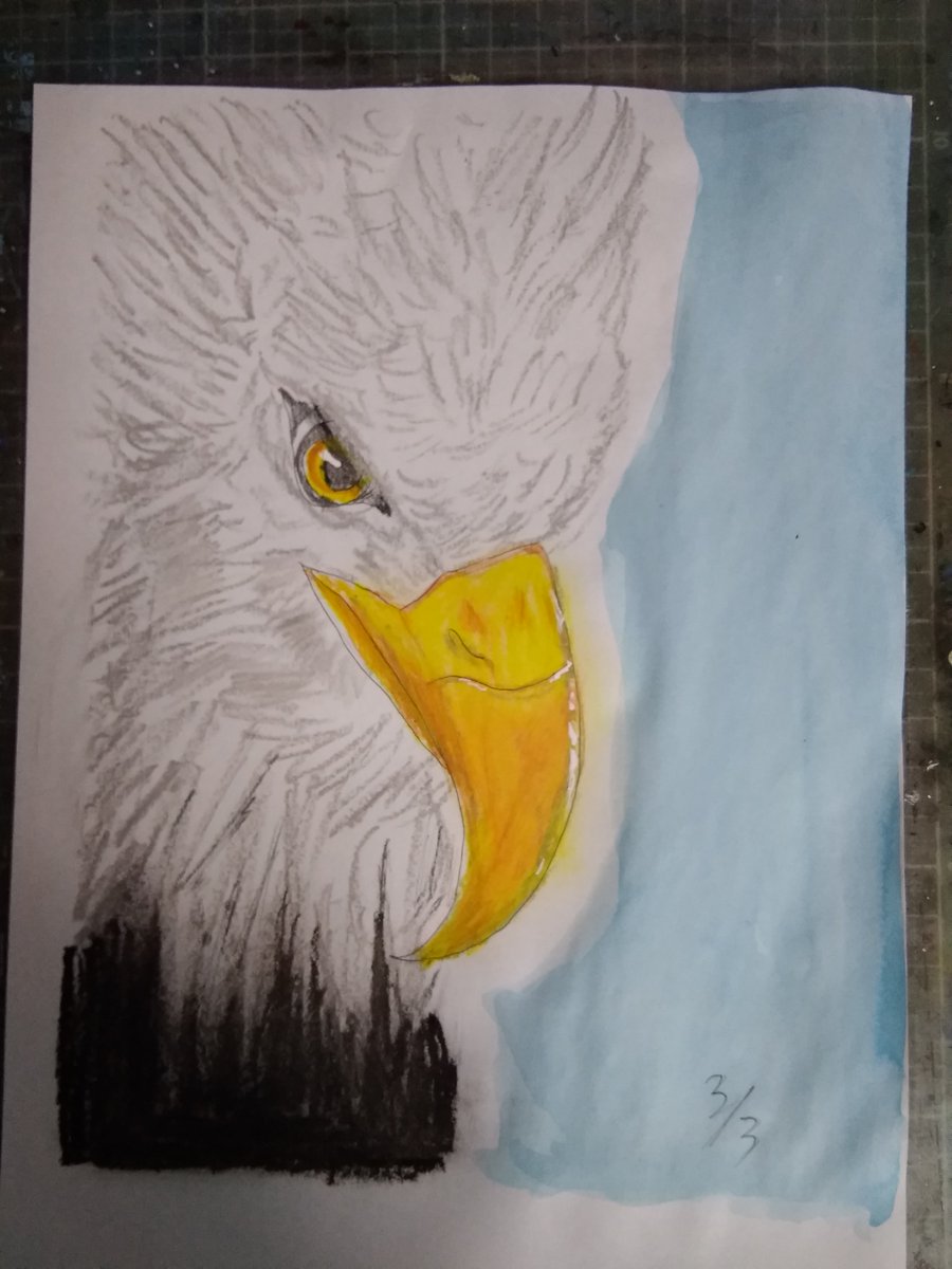 海砂 Fwf おはようございます 創作パステル画 花影 かえい 白頭鷲です アメリカンイーグルです オイルパステル 水彩 鳥モノ練習帳 白頭鷲 イラスト 絵描きさんと繋がりたい