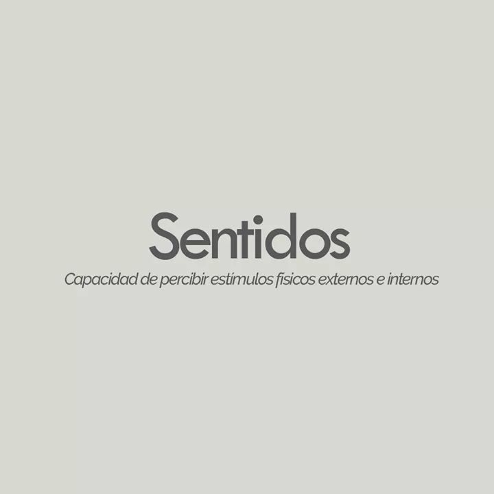 Desde cómodas y espaciosas habitaciones, hasta experiencias gastronómicas únicas, nuestro hotel será el escape perfecto para sus sentidos. #becurious