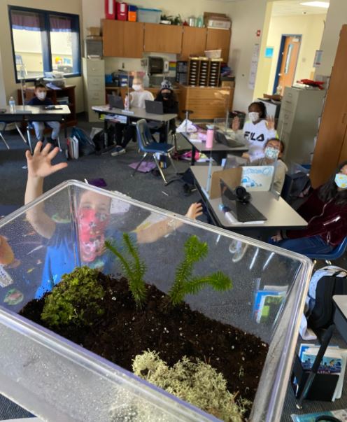 FossierJ's tweet photo. #CamponCampus #McCall Creating terrariums! https://t.co/QcuZf3RVAD