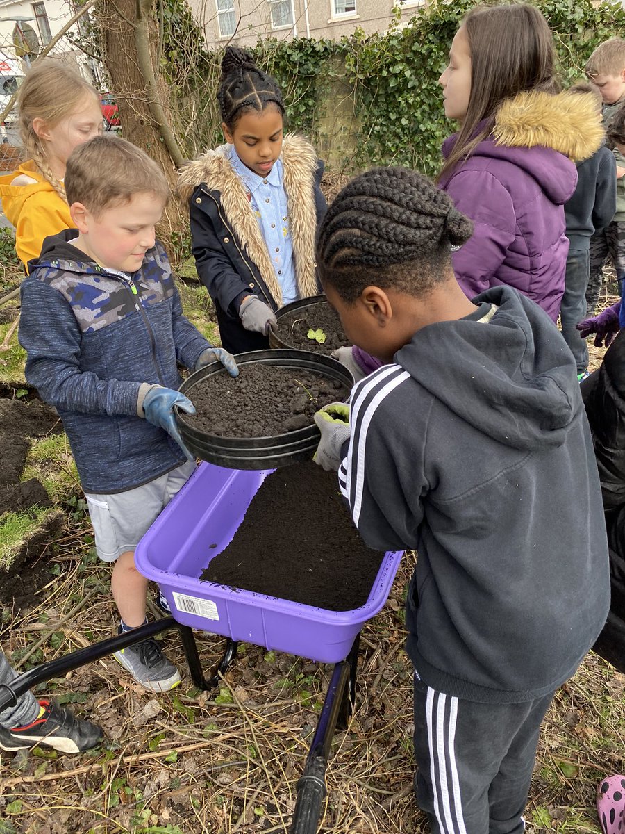sycamorwyddORS's tweet photo. @oldroadschool Sifting soil for our bug hotel roof, ready to sow grass seed. #biodiversity #creatinghabitats #outdoorlearning https://t.co/Gt7E9qK1HO