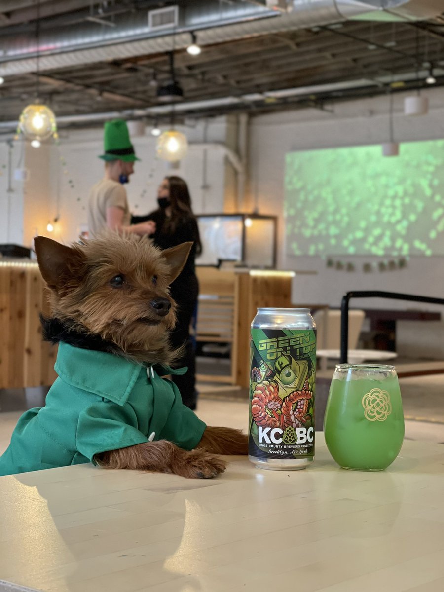 MikaBushwick's tweet photo. #StPatricksDay https://t.co/CF1tCO0rCa