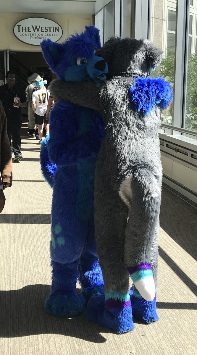 TaebynPup's tweet photo. Flashback to #AC2018 when I got to meet and hug SaphireHusky! https://t.co/qWNIJxrTBl