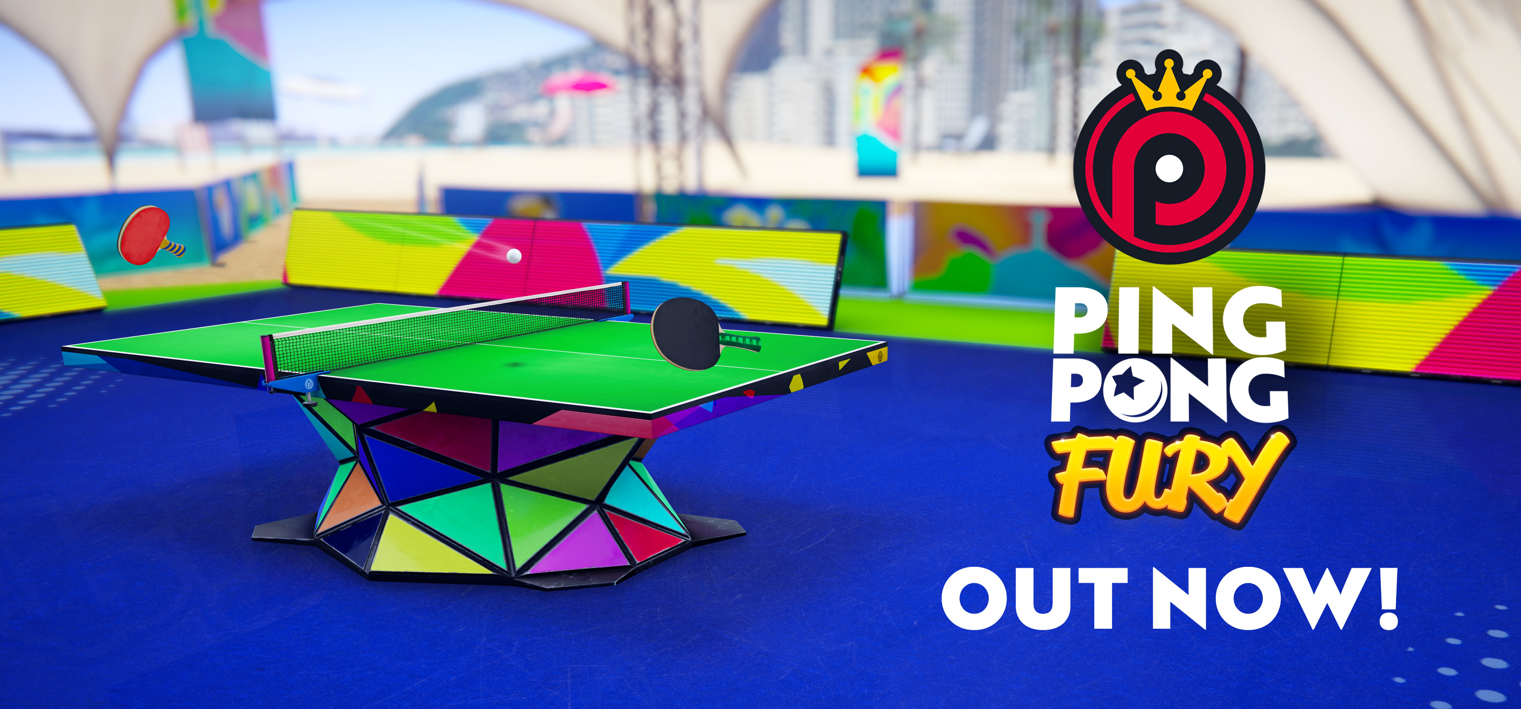 Ping Pong Fury - Sydney play with pro 