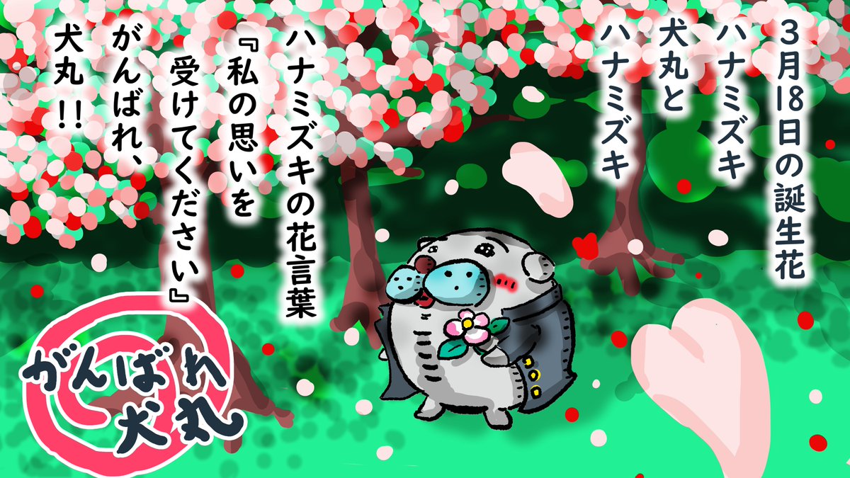 ハナミズキ Twitter Search