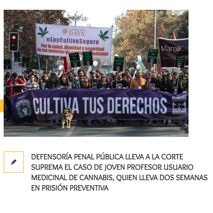 FundacionDaya's tweet photo. Este jueves 18 de marzo, la @DPP_CL acudirá a la Corte  Suprema para liberar a un joven profesor, paciente de Fundación Daya Linares, quien lleva dos semanas en prisión preventiva por cultivar tres plantas de #CannabisMedicinal en Talca #LeyCultivoSeguro 

https://t.co/F6ojk7mROF https://t.co/xBjRl0Cs3l