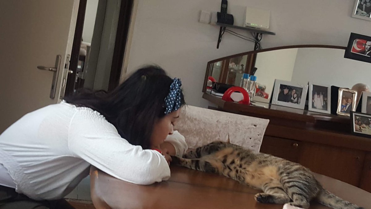 Aplamla beyabey 🐾🐾❣