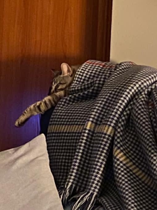 paulafrances18's tweet photo. Cuando tengo frío / cuando tengo calor https://t.co/KQBOe3un5l