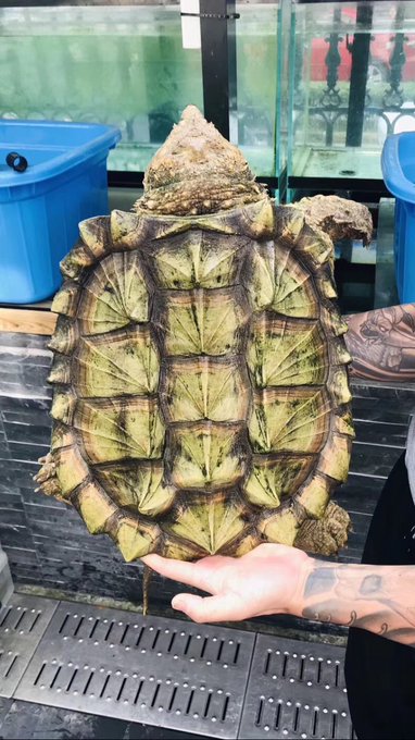 Takahisa610さんのイラストまとめ 4ページ目 Takahisa610さんのイラストまとめ 4ページ目