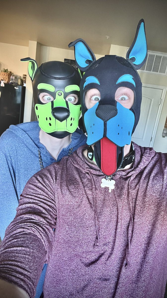 PBluezo's tweet photo. Goofy puppies #humanpup #pupplay https://t.co/n48BS6Gyxe