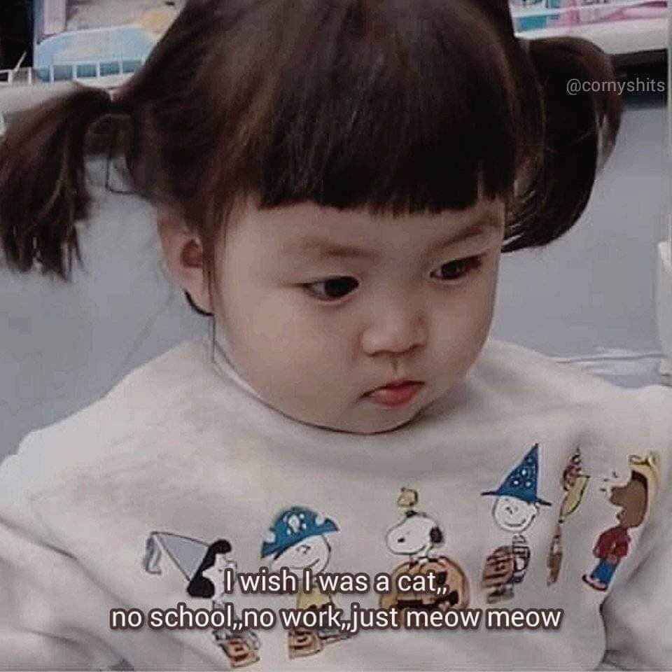 somethingsofter's tweet image. Im sorry i only keep popping up and disappearing but work is really hectic 🤕 for some reason my boss thought giving someone, who's only been in the company for 2 months, a whole product launch is a good idea