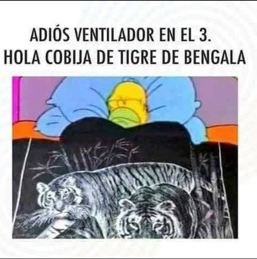 katabellanz's tweet photo. Ayer había olor a verano...hoy medias y buzo para dormir! #winteriscoming https://t.co/WqgyA0oXy1