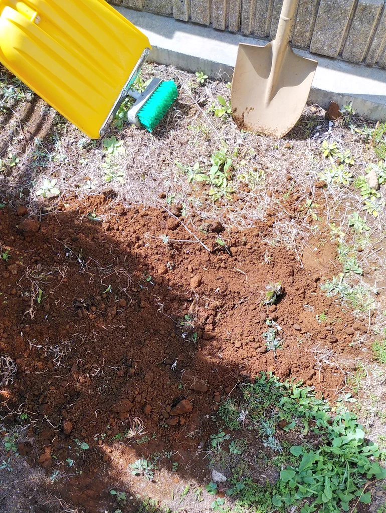 二度と思い出したくないので…卒業証書を庭に埋めてしまった…！