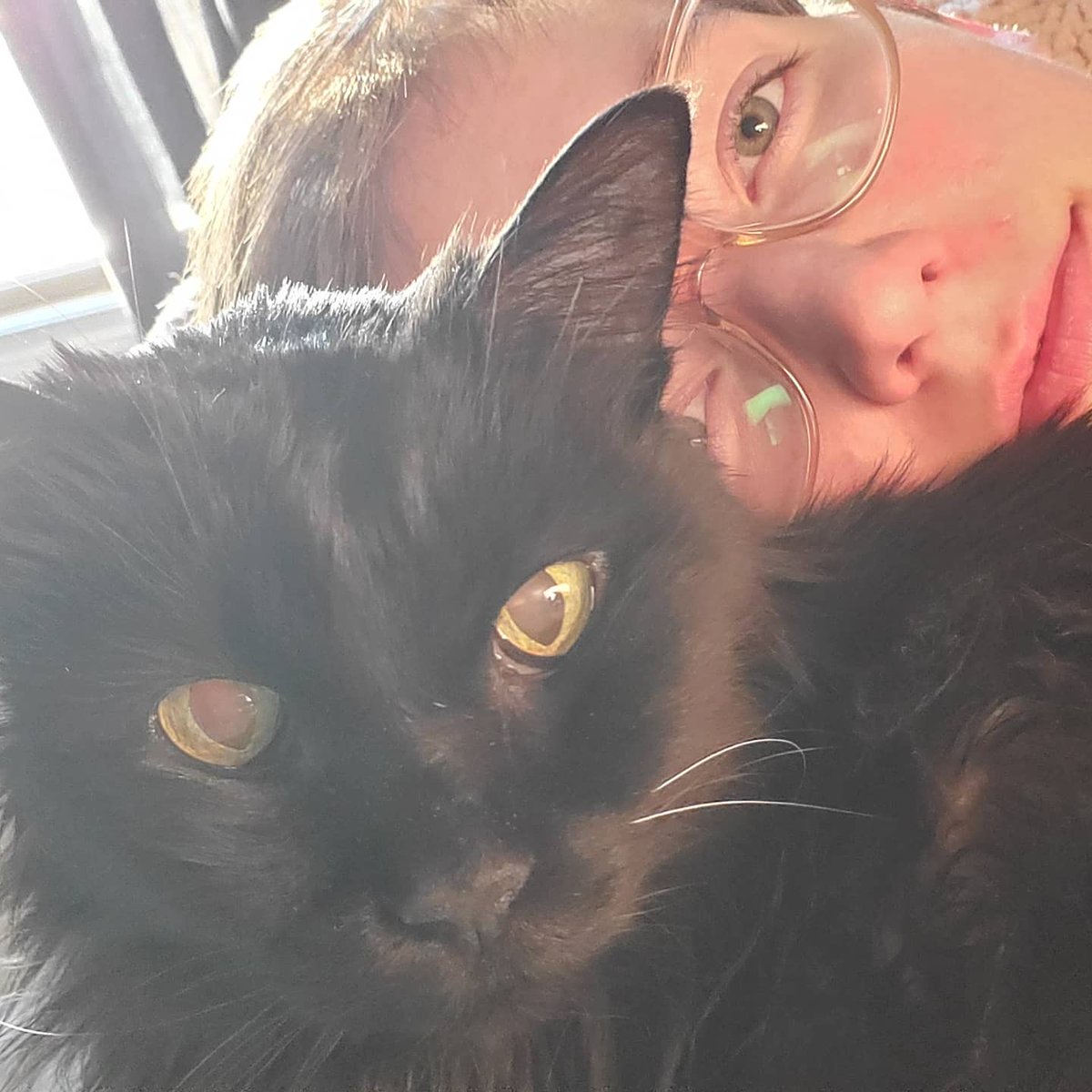 AbbyNormal92's tweet photo. Due to popular demand, more Toasty pics. https://t.co/EsGGcf45mU