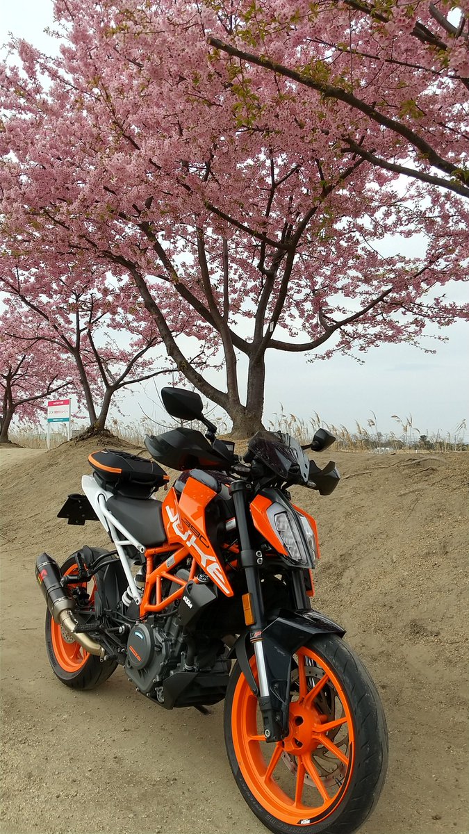 odacchijp's tweet image. 我慢できず納グローブしました😂DUKE専用でございます✨ #バイク乗り #HYOD #SpeedStyle #オレンジカラー