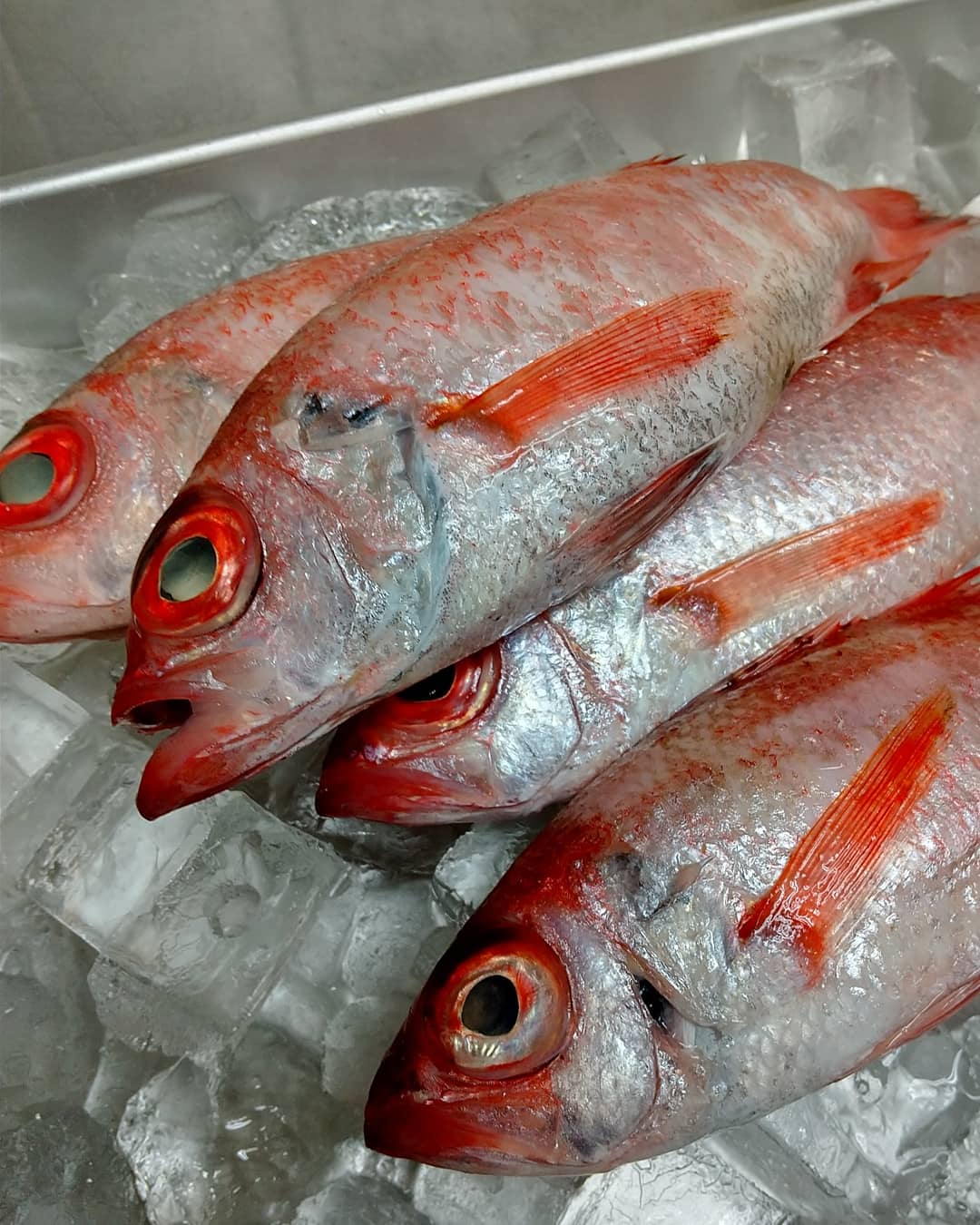 じゅぼう 本日仕入れの鮮魚日本酒等facebookに紹介しております T Co Arssgnsz8s 皆様のお越しをお待ちしております のどぐろ たいら貝 かんぱち くじら 真あじ ほたる烏賊 穴子天ぷら 穴子塩焼き ポテトサラダ かき揚げ 海老たっぷり