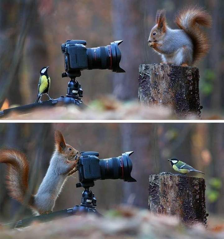 Best photographer