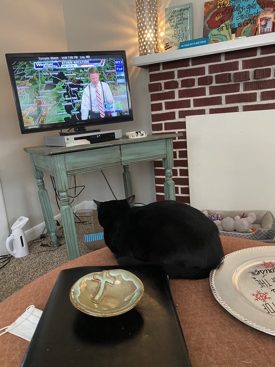 shonnabug76's tweet image. Tupac trusts @matt_laubhan @MattWTVA to help us ride out these storms. #CatsOfTwitter #CatsOnTwitter