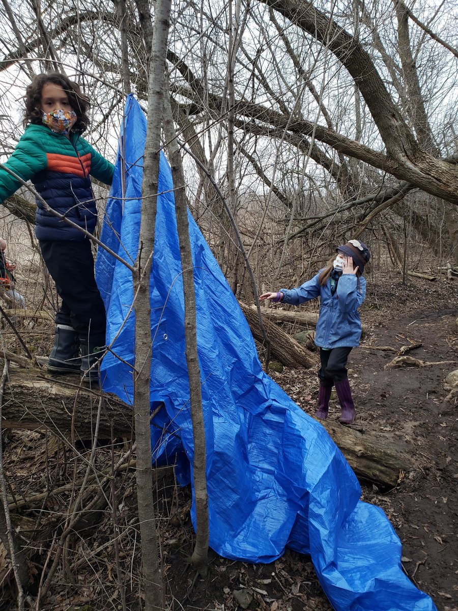 jenkruithof's tweet photo. The Beavers @24thKitchener are creating shelters that will help them to stay dry and warm. https://t.co/SMcMTgg6Pi