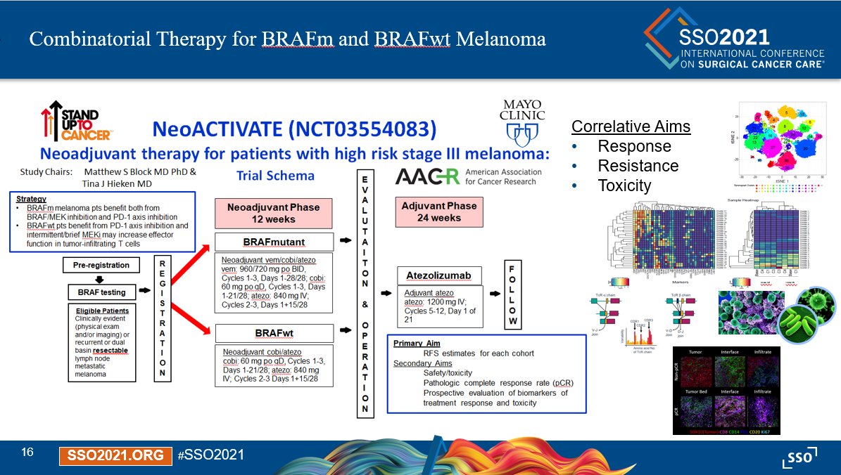 Tina J Hieken MD (@tjh0828) on Twitter photo Great to be part of live pre-meeting #melanoma session w/ Dr. Mary Sue Brady on neoadjuvant therapy incl NeoACTIVATE trial #SSO2021 <a href="/SocSurgOnc/">Society of Surgical Oncology</a> <a href="/AACR/">AACR</a> <a href="/SU2C/">Stand Up To Cancer</a> <a href="/MayoCancerCare/">Mayo Clinic Comprehensive Cancer Center</a> <a href="/MayoClinic/">Mayo Clinic</a> +"see" colleagues <a href="/sandralwong/">Sandra Wong</a> <a href="/bermar01/">Russell S. Berman</a> <a href="/MarkFariesMD/">MarkFariesMD</a> <a href="/HiddeKroon/">Hidde Kroon</a> <a href="/cvangelesMD/">Christina Angeles MD</a> <a href="/MichaelCLoweMD/">Michael Lowe</a> Great to be part of live pre-meeting #melanoma session w/ Dr. Mary Sue Brady on neoadjuvant therapy incl NeoACTIVATE trial #SSO2021 <a href="/SocSurgOnc/">Society of Surgical Oncology</a> <a href="/AACR/">AACR</a> <a href="/SU2C/">Stand Up To Cancer</a> <a href="/MayoCancerCare/">Mayo Clinic Comprehensive Cancer Center</a> <a href="/MayoClinic/">Mayo Clinic</a> +"see" colleagues <a href="/sandralwong/">Sandra Wong</a> <a href="/bermar01/">Russell S. Berman</a> <a href="/MarkFariesMD/">MarkFariesMD</a> <a href="/HiddeKroon/">Hidde Kroon</a> <a href="/cvangelesMD/">Christina Angeles MD</a> <a href="/MichaelCLoweMD/">Michael Lowe</a>