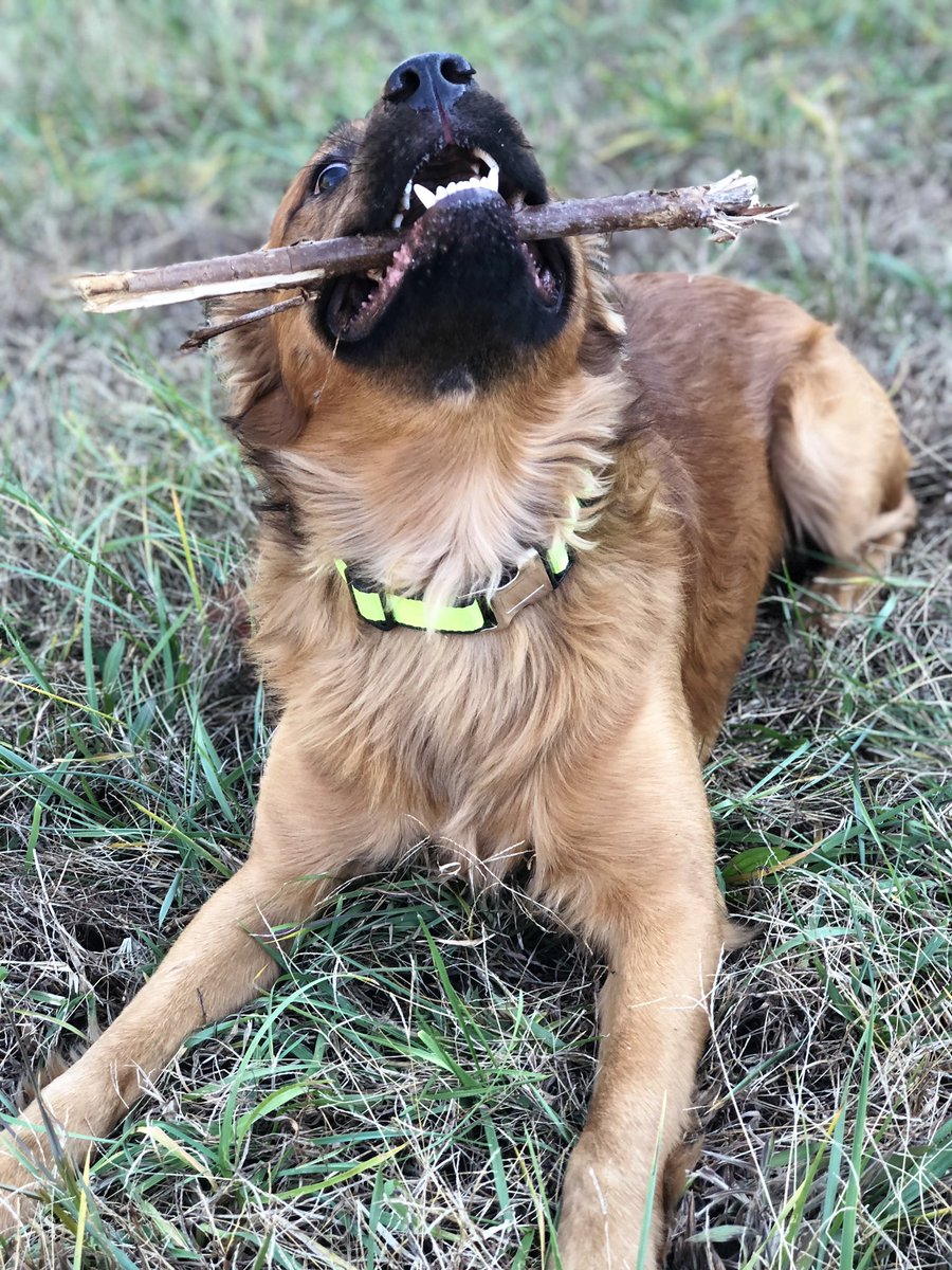 DaRealMilo's tweet image. Nike told me Just. Do. It.